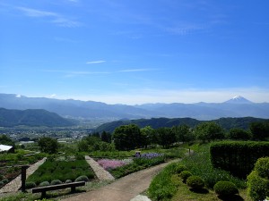 空・山・森