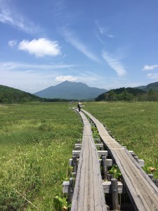 尾瀬道中の景色