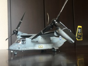 IMG_1230