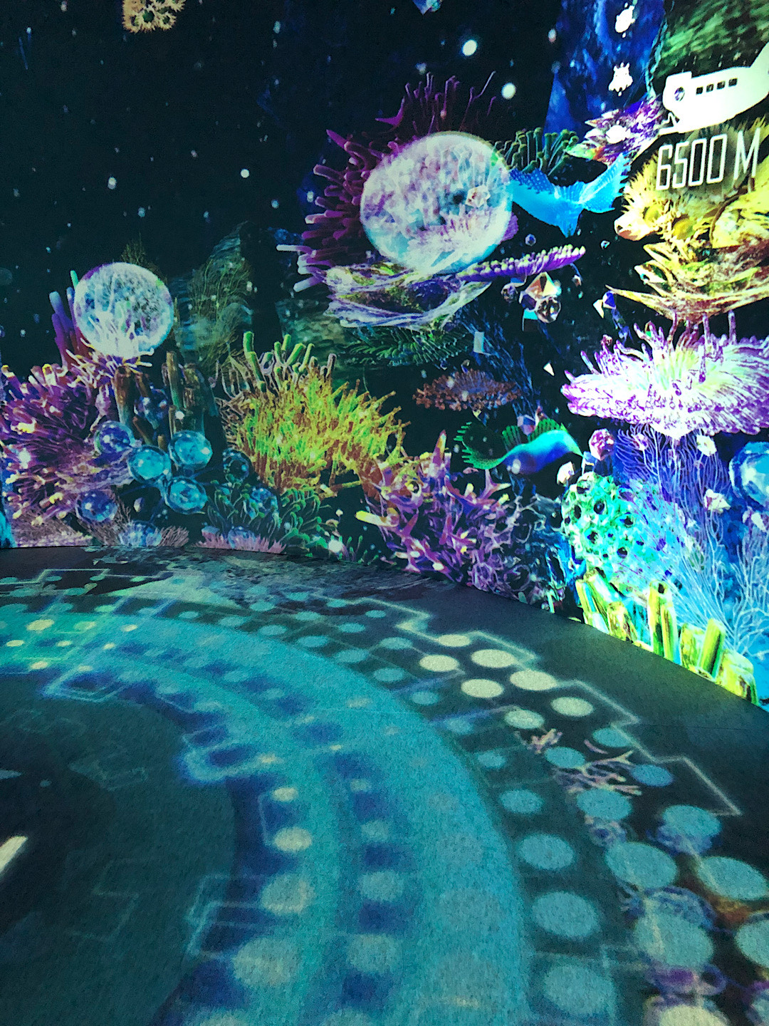 深海6500mの世界 | 株式会社ジオブレイン 公式ブログ