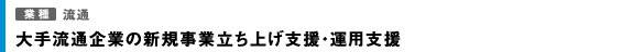 大手流通企業の新規事業立ち上げ支援・運用支援