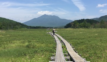 尾瀬道中の景色