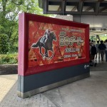 初めての競馬(場)