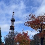 スーツケースと仲良くなる日々